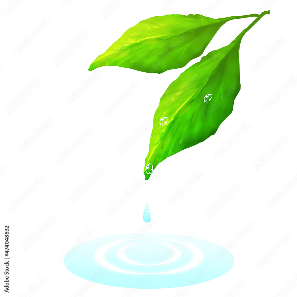 葉っぱと雫と水面 エコロジーイメージ Stock イラスト Adobe Stock