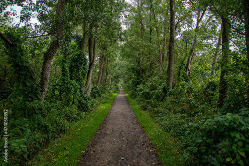 Wanderweg zum Hermann-Löns-Turm im Naturschutzgebiet Aalbek-Niederung