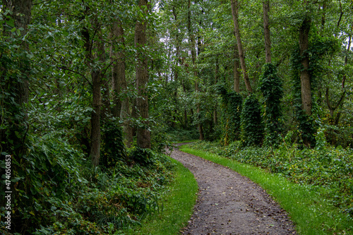 Wanderweg zum Hermann-L  ns-Turm im Naturschutzgebiet Aalbek-Niederung