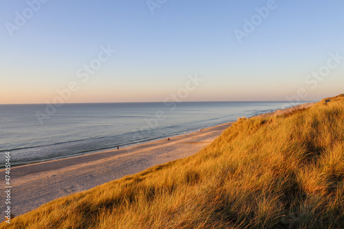 Fototapeta Naklejka Na Ścianę i Meble -  Beautiful dune landscape in the evening on Sylt