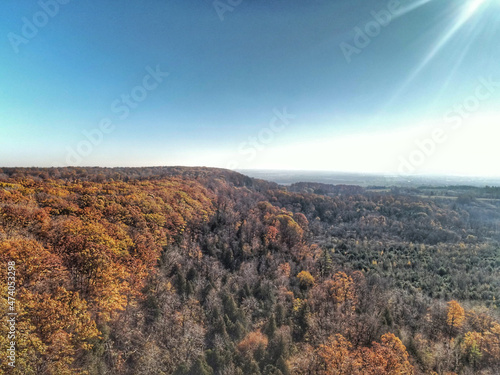 fall colors in the hills of Milton