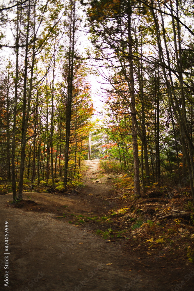 Eagle's Nest lookout and conservation area located in Bancroft, Ontario. Canadian forest during the autumn season.
