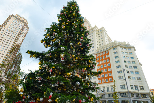 Christmas tree with a skyscraper in the background photo