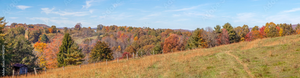 Panoramic autumn tree landscape in Virginia.