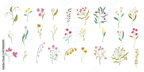 Set of branches with flowers and leaves. Modern style flat organic illustrations. For decorations, patterns, compositions, etc. Vector isolated on white background.