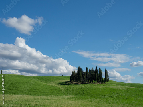 Tipico paisaje toscano, con colinas y cipreses cercano a Pienza, en le crete senesi, Toscana, Italia.