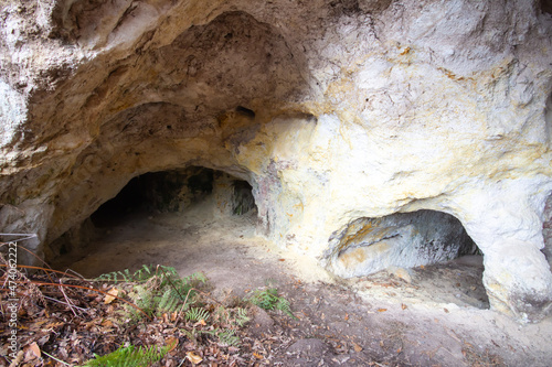 Sulfur cave in Solfatara of Monterano,Canale Monterano,Italy. Wildlife and safari park
