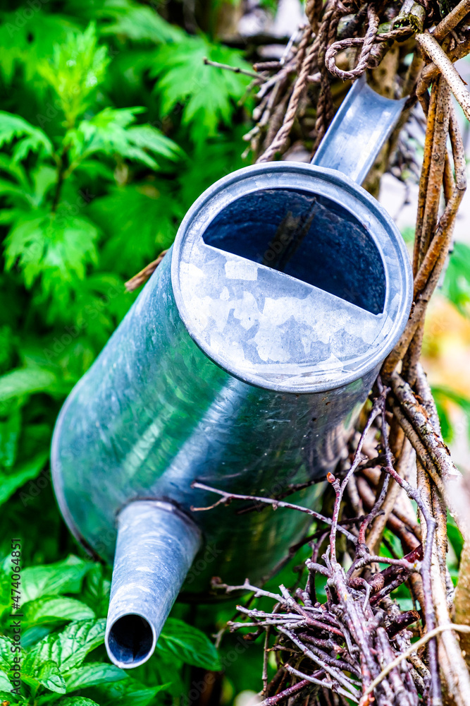 Fototapeta premium old watering can