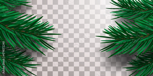 Isolated green realistic spruce or pine branches on a transparent background. Decorative christmas tree branches. Vector illustration