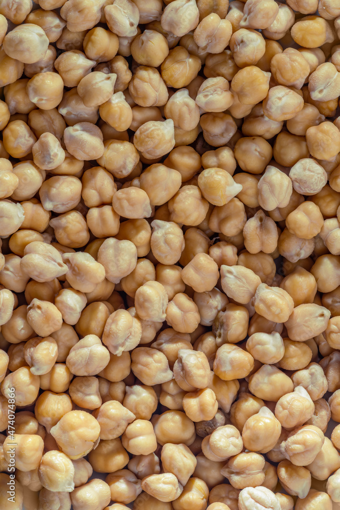 Chickpea or chick pea Cicer arietinum annual legume for cooking hummus. Garbanzo beans seeds for nutrient-dense healthy vegetarian food Chickpea or chick pea Cicer arietinum annual legume for cooking hummus. Garbanzo beans seeds for nutrient-dense healthy vegetarian food