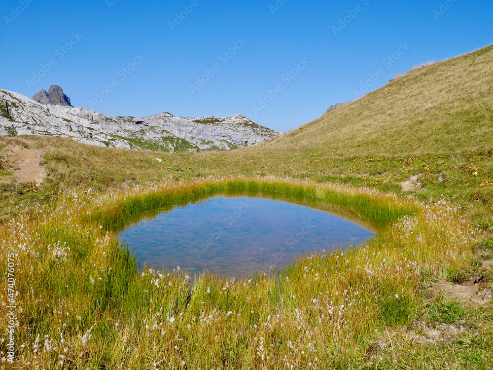 Pond in alpine landscape in Praettigau, Graubuenden, Switzerland.