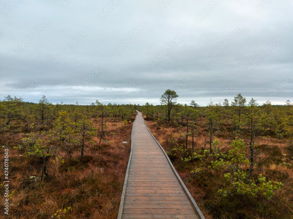 bog landscape with a wooden footbridge along a sulfur pond, traditional bog soil and vegetation autumn in Estonia