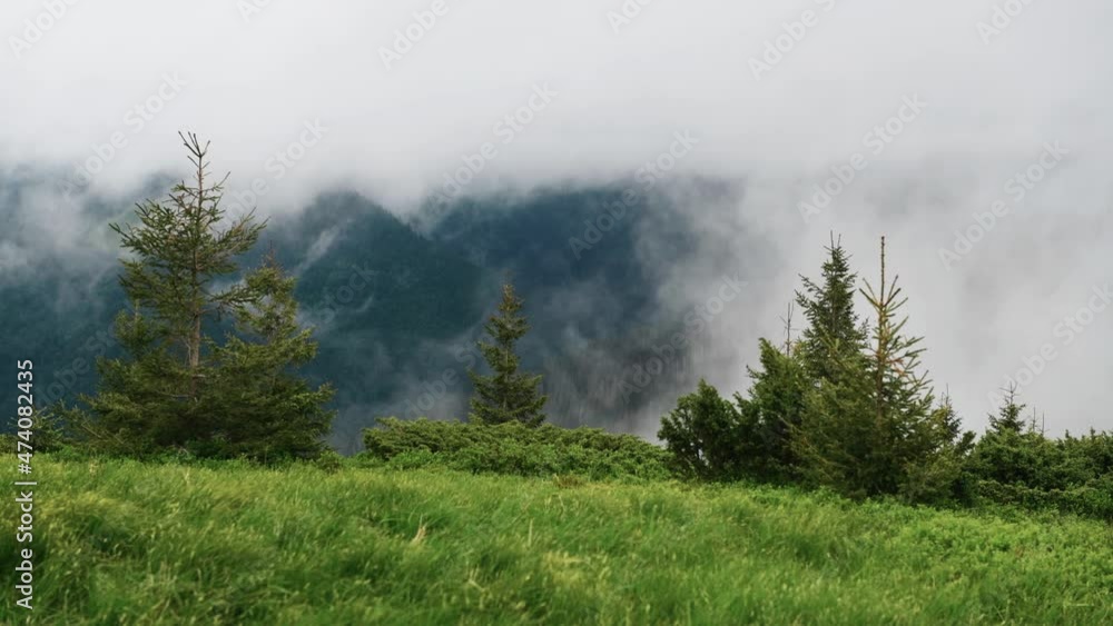 Aerial view. Majestic Carpathian Mountains. Beautiful landscape of untouched nature Aerial view. Majestic Carpathian Mountains. Beautiful landscape of untouched nature
