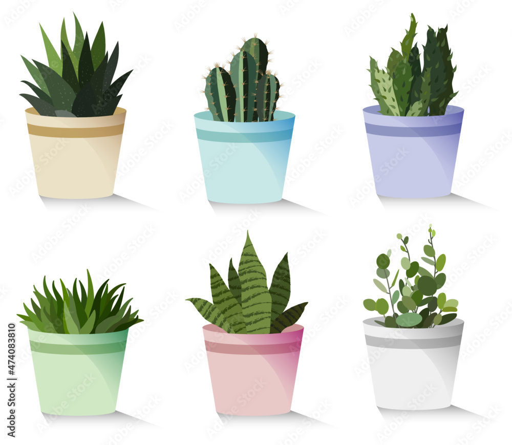 Vector decorative houseplants set Vector decorative houseplants set