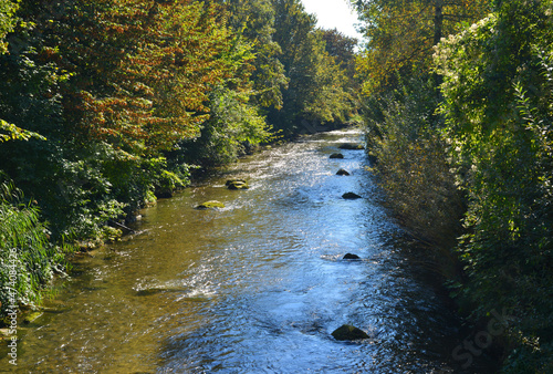 Beautiful clear river with stones on the ground and sourrounding trees photo