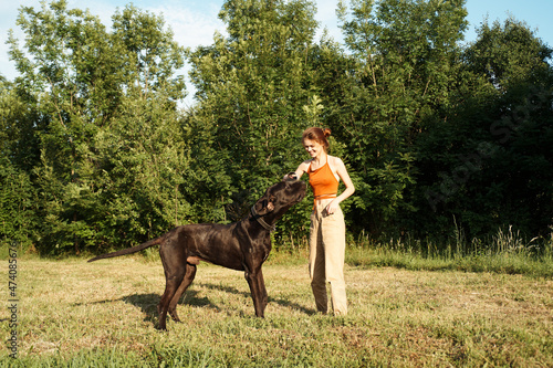 woman playing with a big black dog outdoors in the field fun friendship