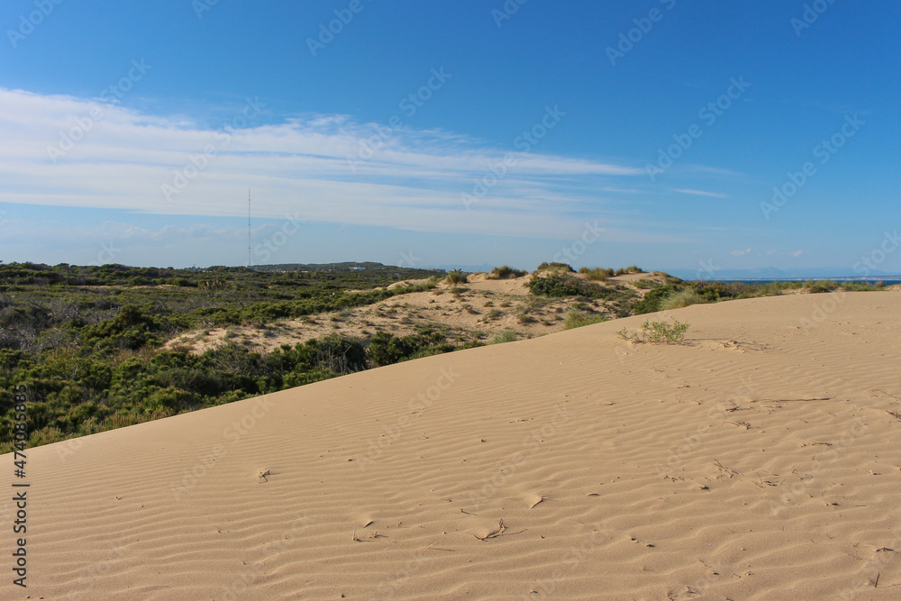 Vega Baja del Segura - Guardamar del Segura - Dunas y pinada Vega Baja del Segura - Guardamar del Segura - Dunas y pinada