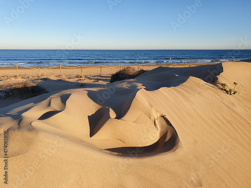 Vega Baja del Segura - Guardamar del Segura - Dunas y pinada photo