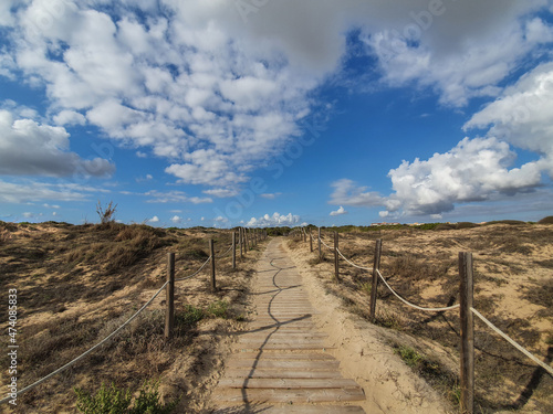 Vega Baja del Segura - Guardamar del Segura - Dunas y pinada photo