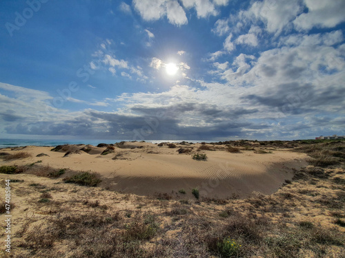 Vega Baja del Segura - Guardamar del Segura - Dunas y pinada