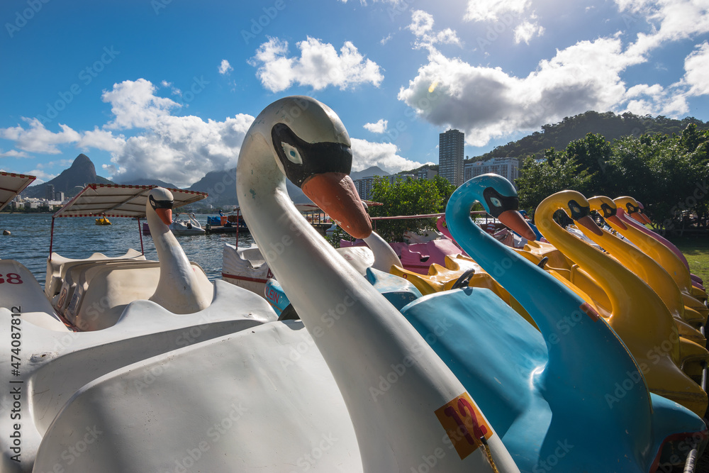 View of Swan pedal boats at Rodrigo de Freitas Lagoon (Lagoa Rodrigo de Freitas) - Rio de Janeiro, Brazil View of Swan pedal boats at Rodrigo de Freitas Lagoon (Lagoa Rodrigo de Freitas) - Rio de Janeiro, Brazil