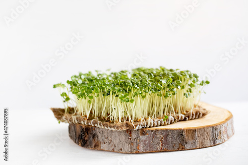 Microgreen greens on a wooden stand. Close-up