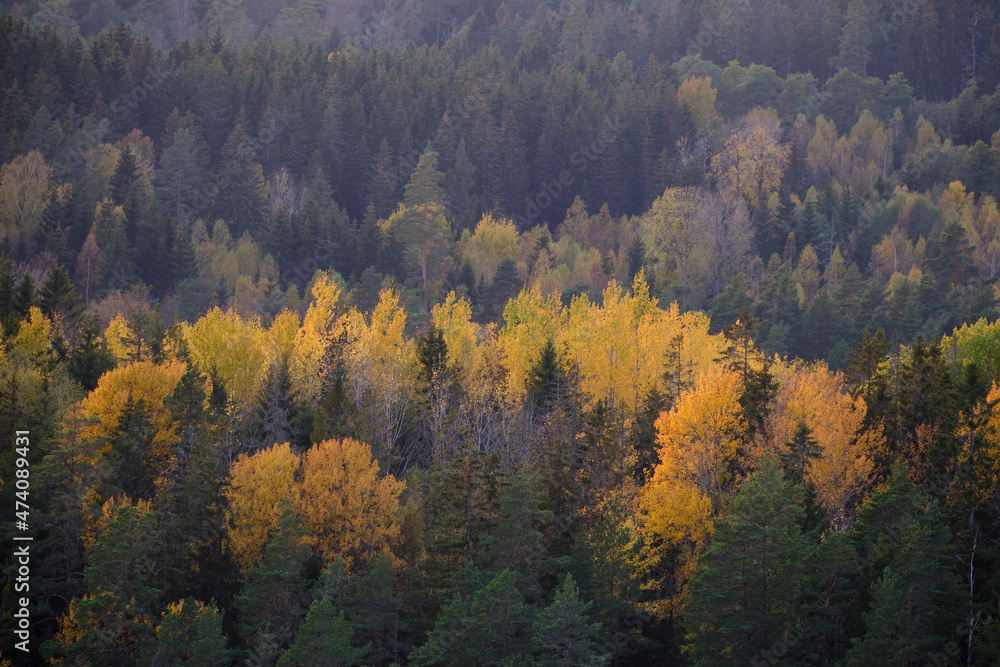 autumn in the mountains autumn in the mountains