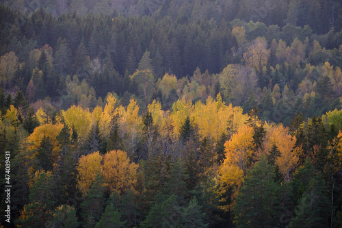 autumn in the mountains