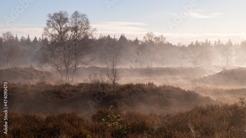 Mist over the hilly heathland in winter