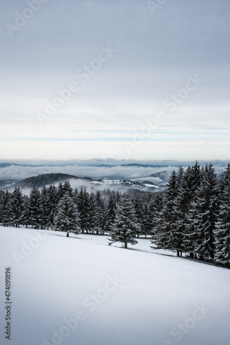 winter mountain landscape with snow and fog