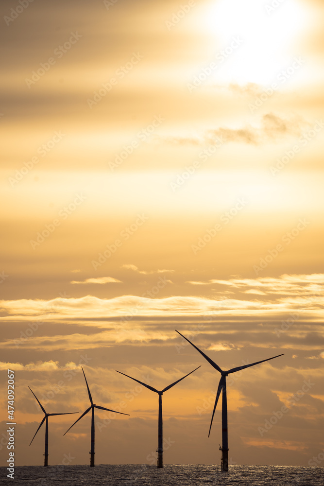 Nordsee Windpark Was Die Medien Ihnen Verschweigen Wieso Keine Gebote - ekf9feh