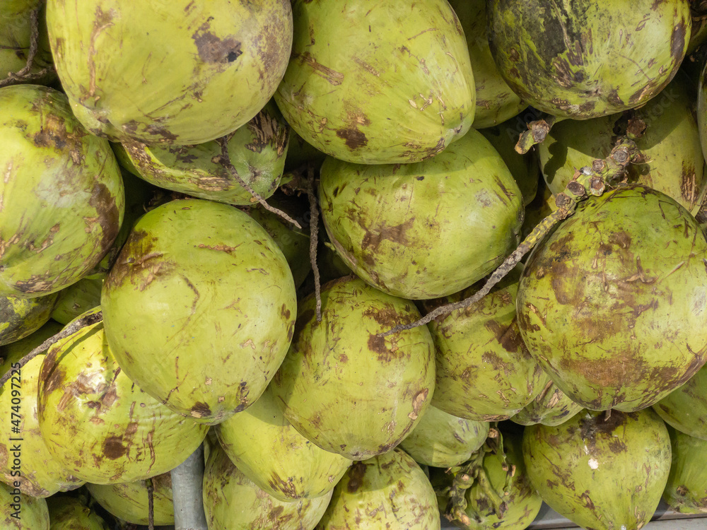 Green coconuts piled up and ready to be sold. Green coconuts piled up and ready to be sold.