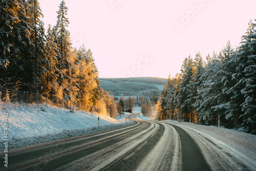 Winter forest road © susanne
