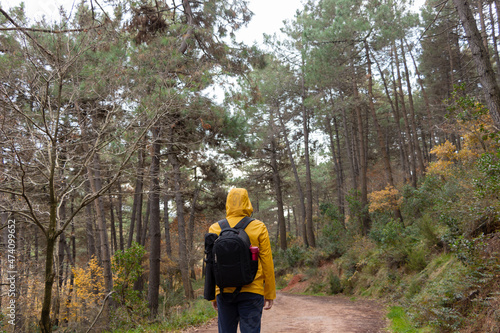 A young man walking in forest. Facing back. Autumn. Bush walking. Hiking. Tramping. Treekking. photo