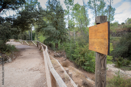 Forest path with wooden sign Space for text.