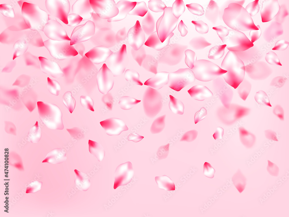 Japanese cherry blossom pink flying petals