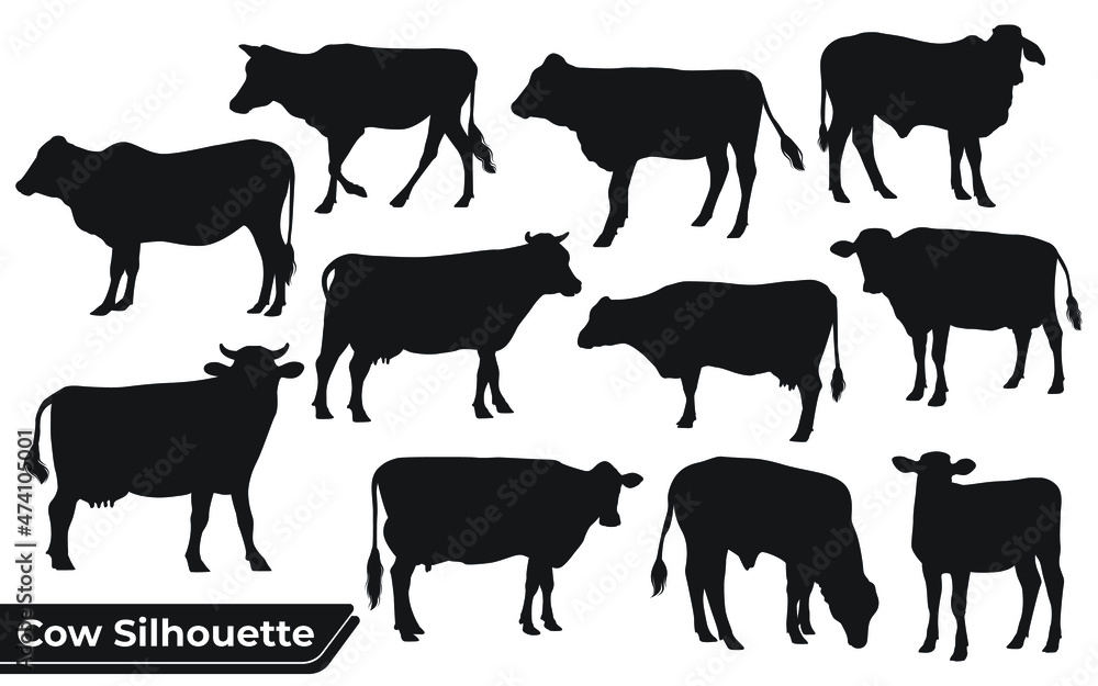 Collection of Cow Silhouette in different poses Collection of Cow Silhouette in different poses