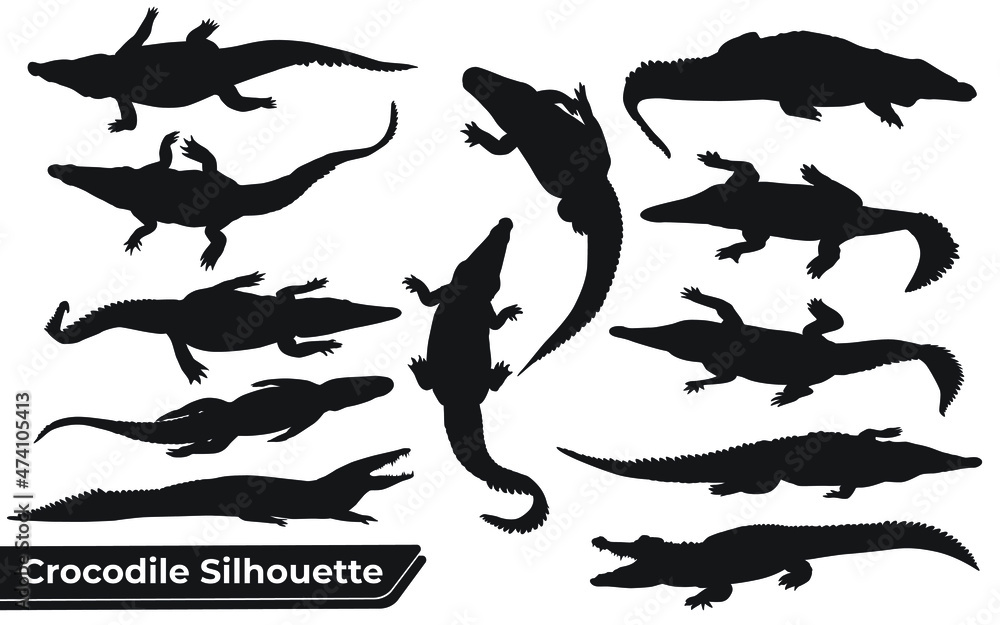 Collection of crocodile Silhouette in different poses