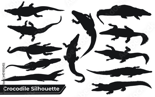 Collection of crocodile Silhouette in different poses