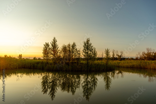 Fototapeta Naklejka Na Ścianę i Meble -  sunrise over the lake