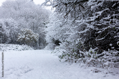 A Christmassy View of a Snowy Entrance into Peafield Park in Mansfield Nottinghamshire - stock photo.jpg © David