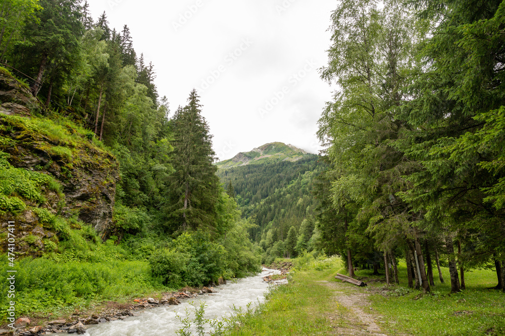 View on Bon Nant mountain river, green forests and apline meadows near Saint-Gervais-les-Bains, Savoy. France View on Bon Nant mountain river, green forests and apline meadows near Saint-Gervais-les-Bains, Savoy. France