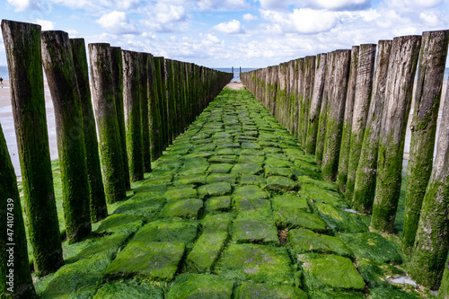 View on wooden poles at white sandy North sea beach near Zoutelande, Zeeland, Netherlands photo