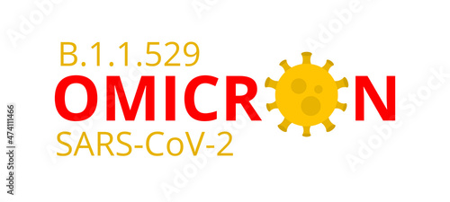 Omicron New SARS Mutation Variant B.1.1.529 Concept. Public Health Risk. Fight Against Coronavirus
