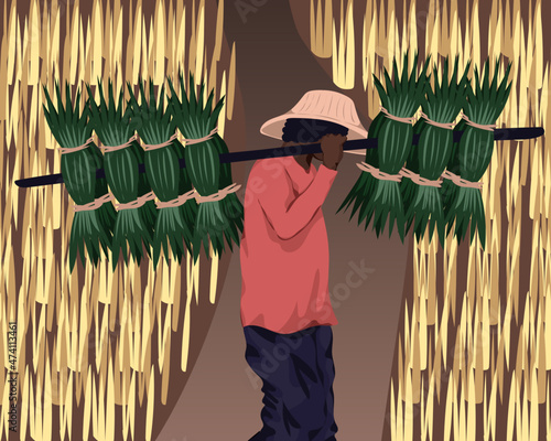 Person harvesting crops in rice paddy