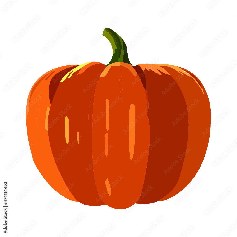 pumpkin isolated on white. verctor illustration. pumpkin isolated on white. verctor illustration.