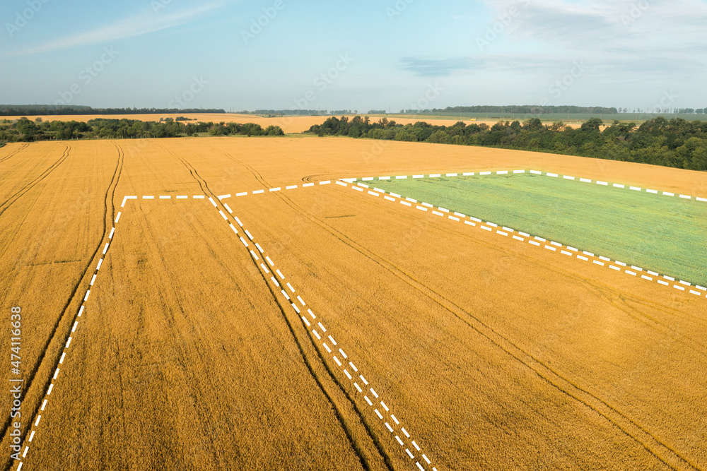 Sale field land for agribusiness. Land for sale and investment: Aerial drone shot with copy space. Topographic map of Field plot for Sale. Topographic shot of green oat field on yellow wheat field.
