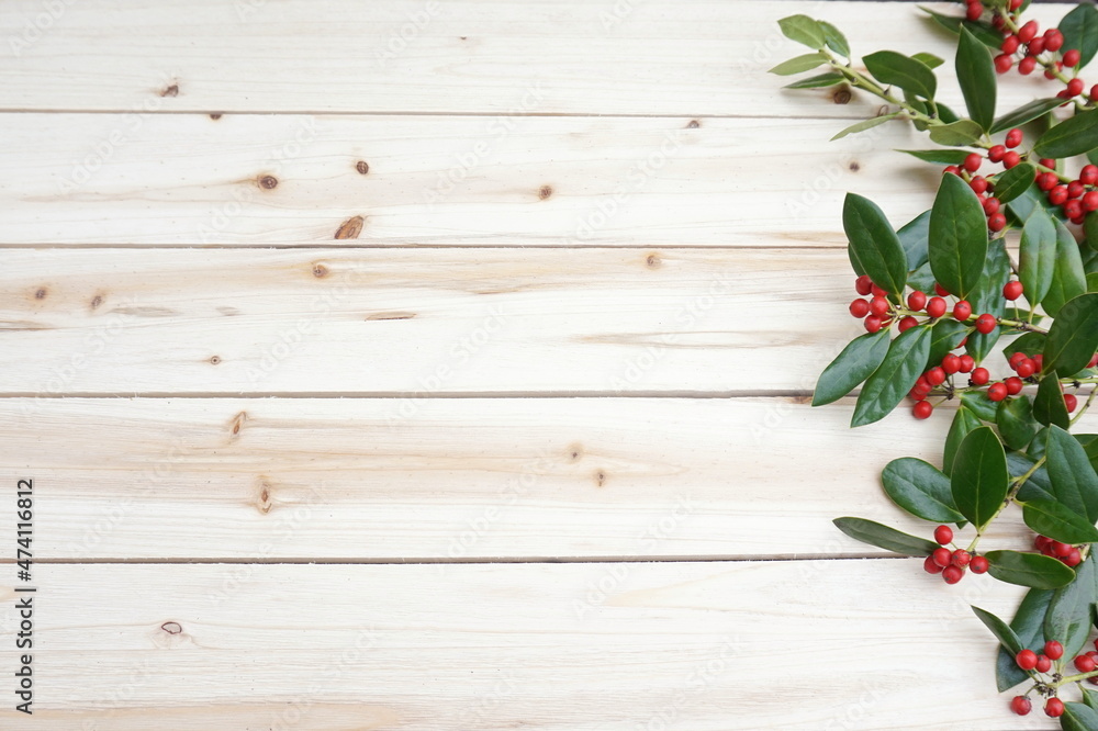 Green Bittersweet with Red Beries on White Wood Paneling with Room for Text Green Bittersweet with Red Beries on White Wood Paneling with Room for Text
