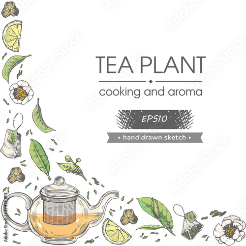 Detailed hand-drawn sketch tea plant and cooking tools.