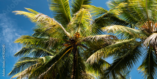 Close up of nature place